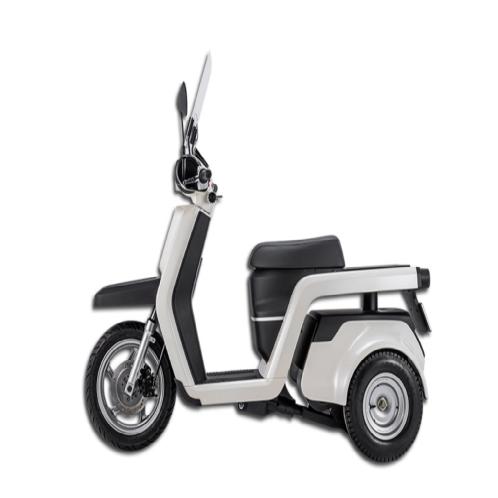 Electric Scooter EM3X | Electric Scooter, EM3X